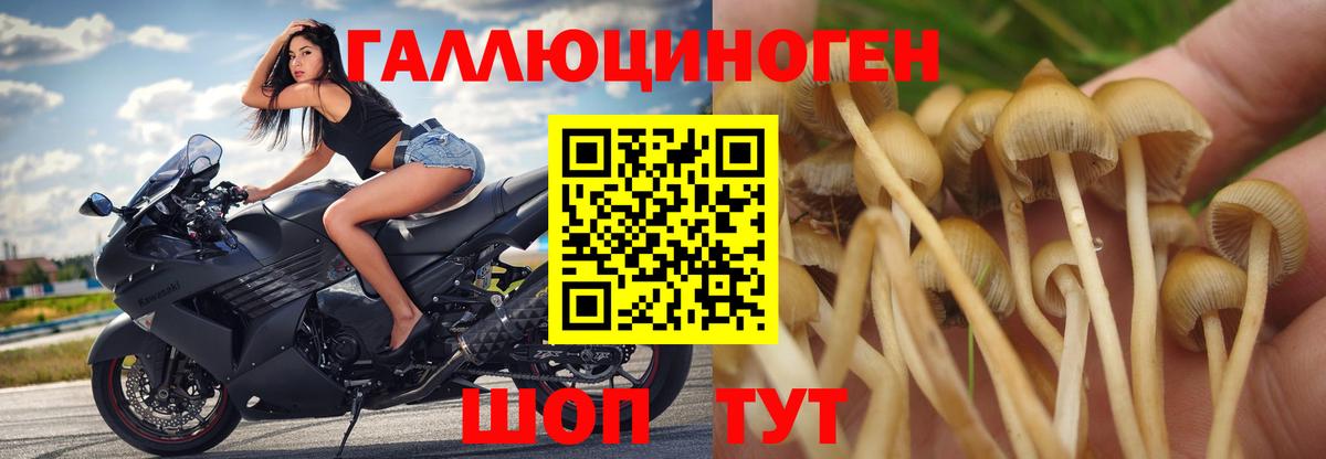Псилоцибиновые грибы MAGIC MUSHROOMS  Галлюциногенные грибы ЛСД  Вход с VPN  Севастополь 